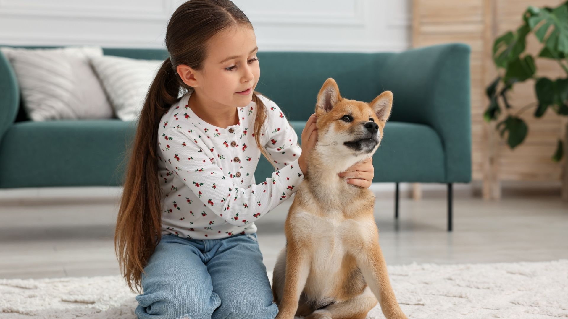 Evcil Hayvan Ölümü Çocuğa Nasıl Anlatılır?